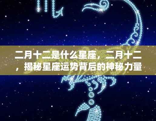 二月十二星座揭秘，探寻运势背后的神秘力量