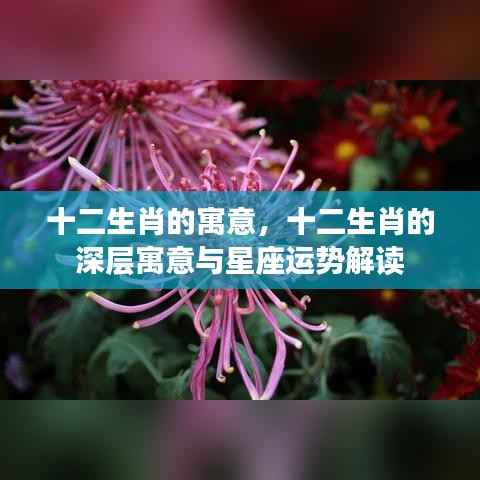 揭秘十二生肖深层寓意与星座运势解读的奥秘