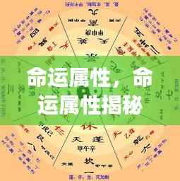 命运属性揭秘,掌握星座走向,洞悉未来运势转折之道