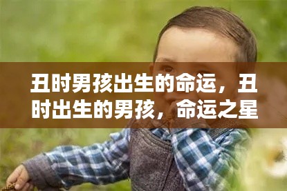 达官贵人 第4页