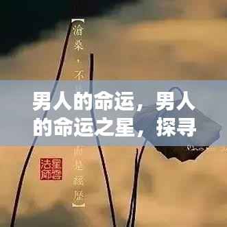 探寻命运轨迹,男人的机遇与挑战之星