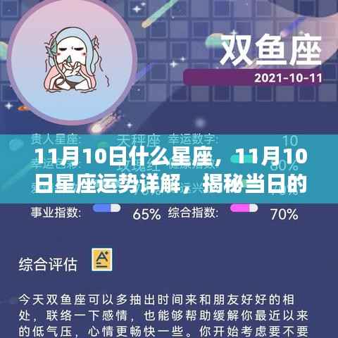揭秘11月10日星座运势,星座秘密大解析