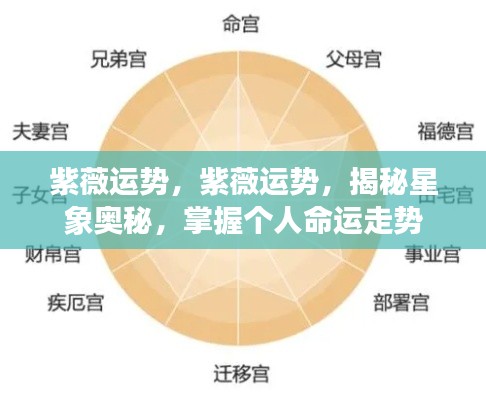 紫薇运势揭秘,掌握星象奥秘,洞悉个人命运走势