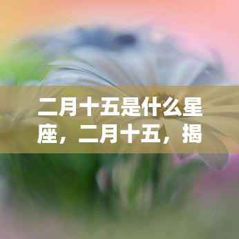 二月十五星座揭秘,运势之门开启,探寻属于你的星座命运