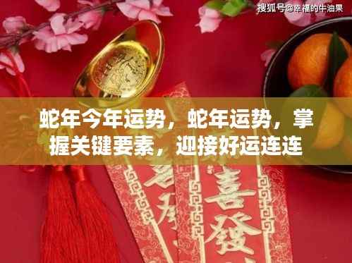 蛇年运势揭秘,关键要素助你迎接好运连连