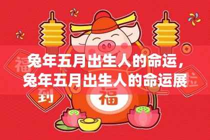 兔年五月出生人的命运展望与特质分析