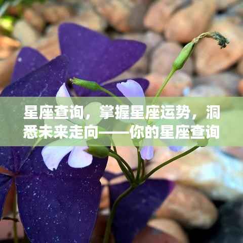 星座查询指南,掌握运势,洞悉未来走向!