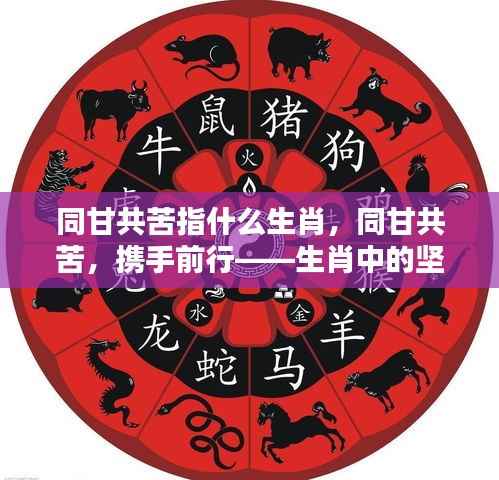 落土飞岩 第4页