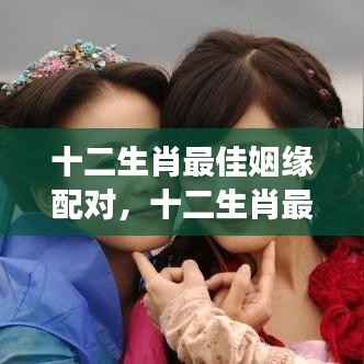 揭秘十二生肖最佳姻缘配对,寻找属于你的缘分密码!