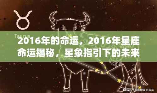 揭秘星象指引下的未来之旅,2016年星座命运展望