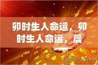 卯时出生者的命运解析,晨光之星预示璀璨人生