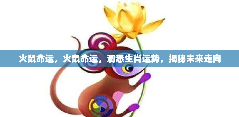 揭秘火鼠命运走向,洞悉生肖运势,未来展望全解析