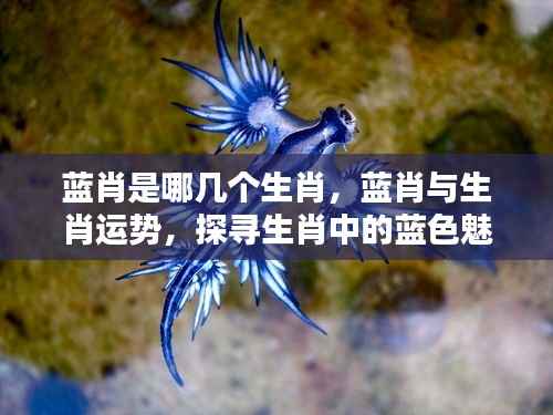 探寻生肖中的蓝色魅力,蓝肖与生肖运势解析