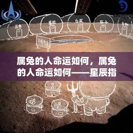 属兔人的星辰命运,独特人生轨迹的指引