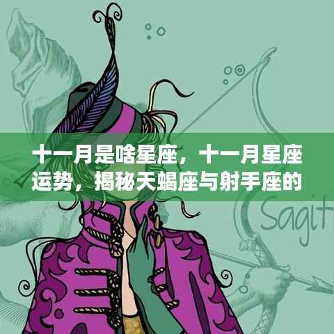 揭秘十一月星座运势,天蝎座与射手座的神秘面纱
