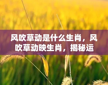 揭秘生肖运势背后的神秘力量,风吹草动与生肖运势关联