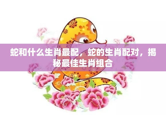 揭秘蛇的最佳生肖配对组合,哪些生肖与蛇最配?