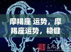 摩羯座运势展望,稳健前行,收获在即