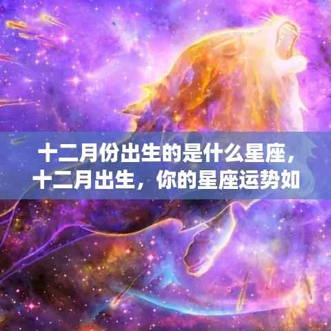 十二月出生者的星座运势解析与特点