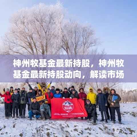 神州牧基金最新持股动向揭秘,市场趋势与行业布局深度解读