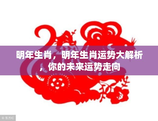明年生肖运势大解析,洞悉未来运势走向