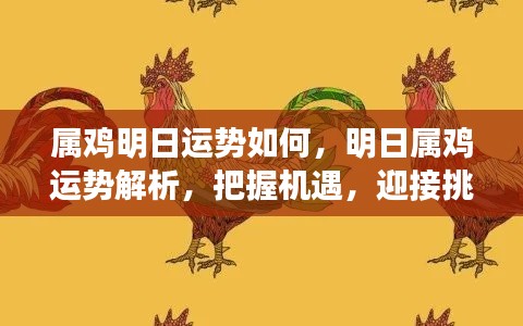 明日属鸡运势详解,把握机遇,迎接挑战,运势解析来袭!
