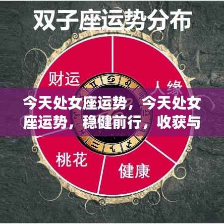 处女座今日运势,稳健前行,收获与成长双丰收