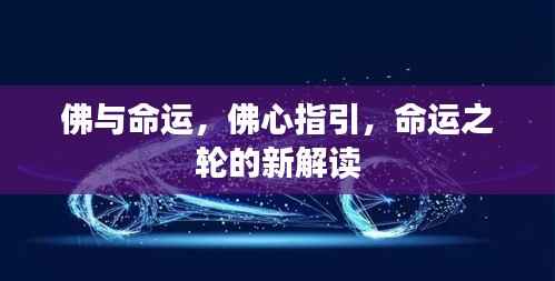 佛心指引,命运之轮的新解读与探索