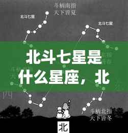 阳春白雪 第4页