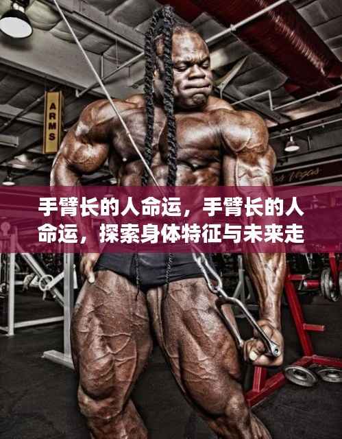 身体特征揭秘,手臂长度与命运走向的奇妙关联探索