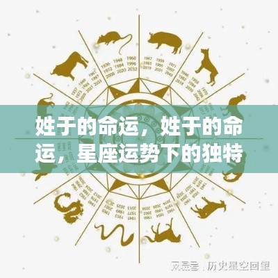 星座运势下的独特人生轨迹,于姓命运探索