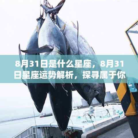 8月31日星座运势揭秘,探寻属于你的星辰轨迹