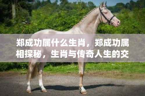 郑成功的生肖与传奇人生,属相探秘与传奇交织之路