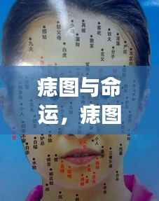 痣图与命运,探寻皮肤上的神秘预言之谜