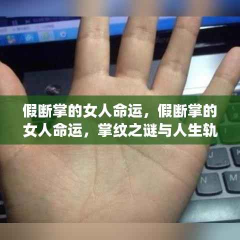 假断掌女人的命运之谜,掌纹交织人生轨迹的探寻