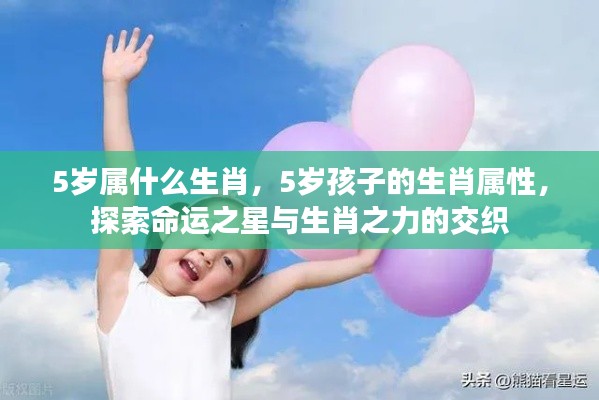 探索命运之星与生肖之力的交织,5岁孩子的生肖属性解析