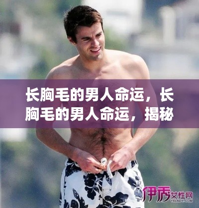 揭秘,长胸毛男人的命运与神秘联系探索