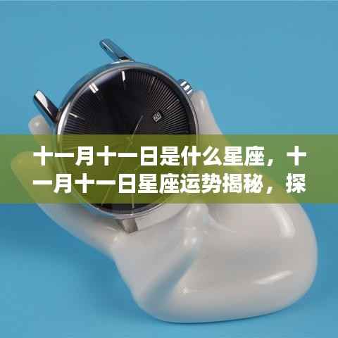 揭秘十一月十一日星座运势,探寻属于你的星辰轨迹