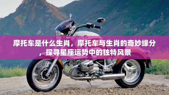 摩托车与生肖的奇妙缘分,探寻星座运势中的独特风景与生肖魅力
