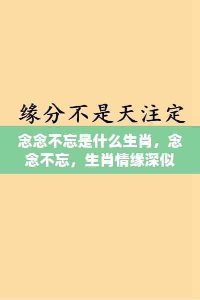 念念不忘的生肖情缘,深情如海,缘分难解