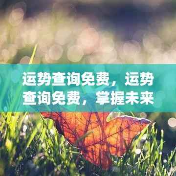 运势查询免费,运势查询免费,掌握未来,从星座指引开始