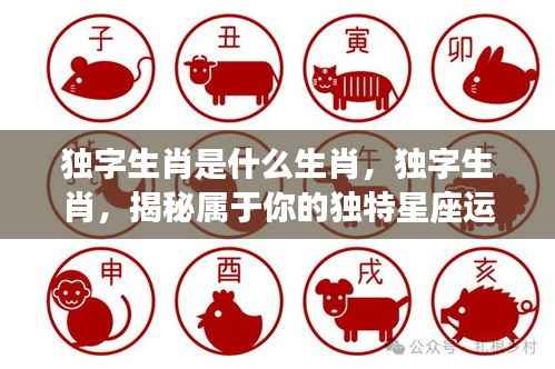 揭秘独字生肖,独特星座运势解析