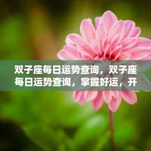 双子座每日运势解析,掌握好运,活力满满开启新一天!