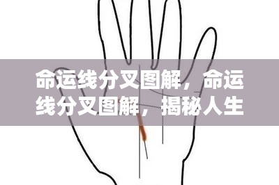 命运线分叉图解,揭示人生轨迹多元走向的神秘面纱