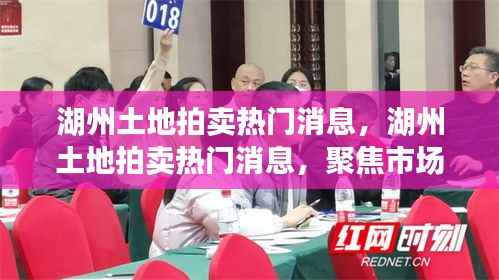 湖州土地拍卖市场热门动态,聚焦市场动态,洞悉未来趋势