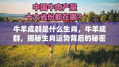 揭秘生肖运势背后的秘密,牛羊成群生肖运势解析