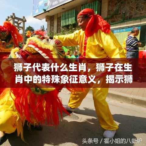 狮子与生肖,特殊象征意义及奥秘揭秘