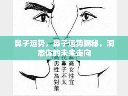 鼻子运势揭秘,洞悉未来走向的奥秘