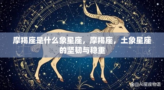 摩羯座,土象星座的坚韧与稳重特性探究