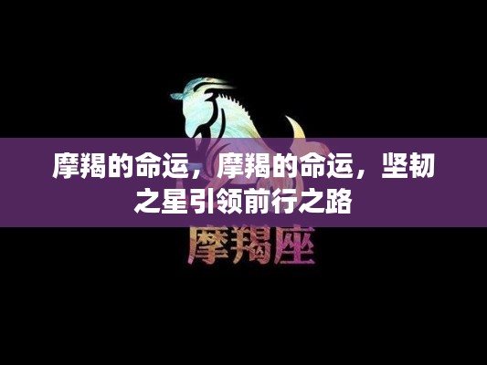 摩羯命运揭秘,坚韧之星领航前行之路